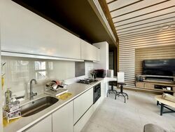 Starlight Suites (D9), Apartment #507519441